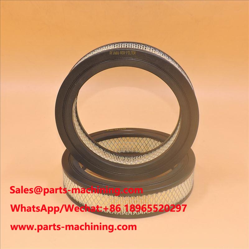 Air Filter AF1666