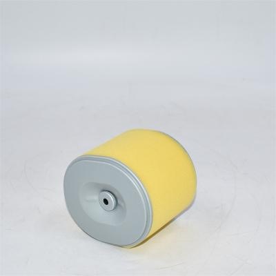 AF25474 Воздушный фильтр P607254 PA3957 17210ZE3000 5748378 Перекрестная ссылка