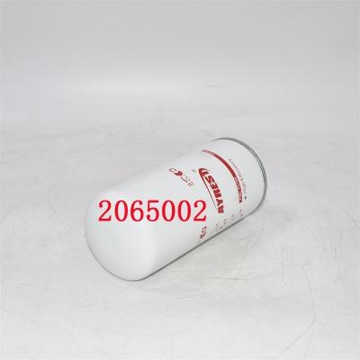 2065002 Топливный фильтр 2002041593 Замена